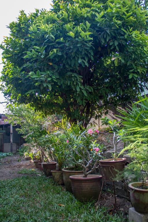 Cozy Mount Erskine Homestay Джорджтаун Экстерьер фото