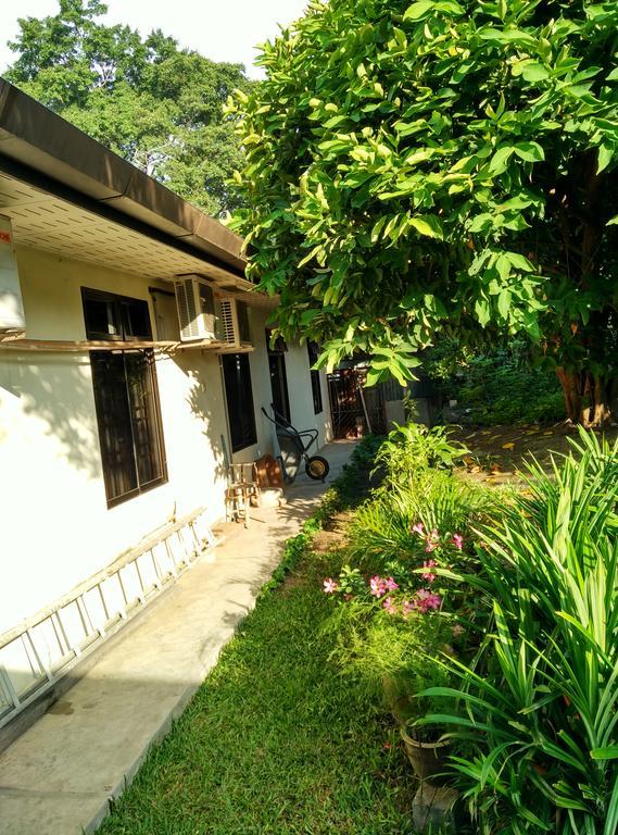 Cozy Mount Erskine Homestay Джорджтаун Экстерьер фото